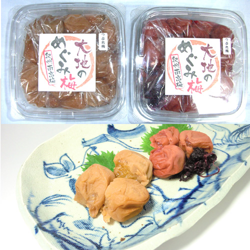 「紀州南高梅 大地めぐみ梅」つぶれ梅干しセット各300ｇ