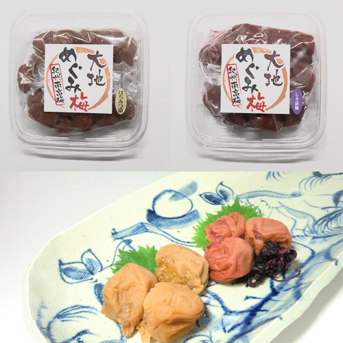 「紀州南高梅 大地めぐみ梅」つぶれ梅干しセット各450ｇ