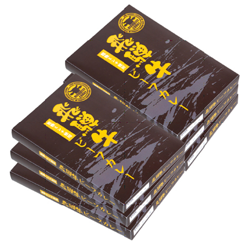 【岐阜県】飛騨牛ミンチビーフカレー6食